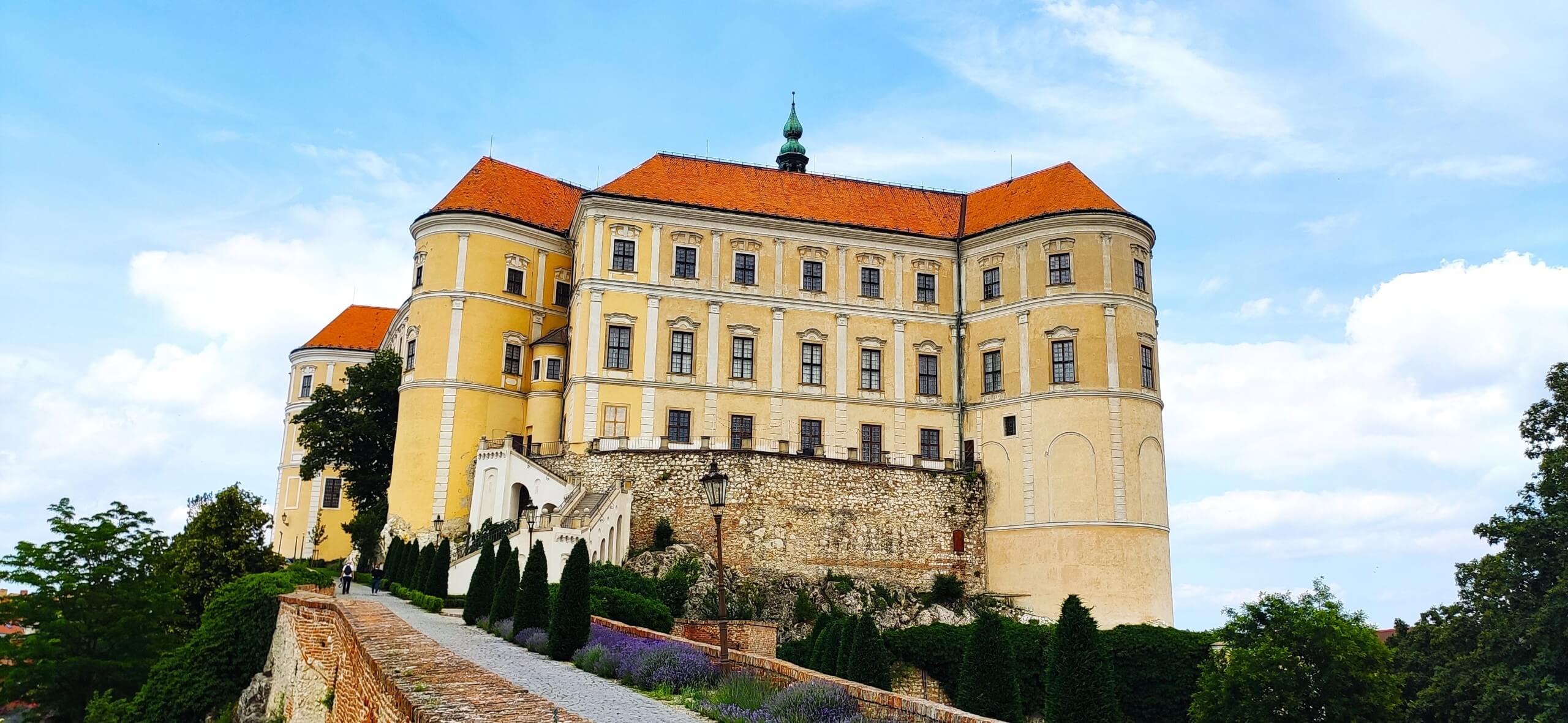 Pálavská krajina použitá při rešerši značky VINOCO