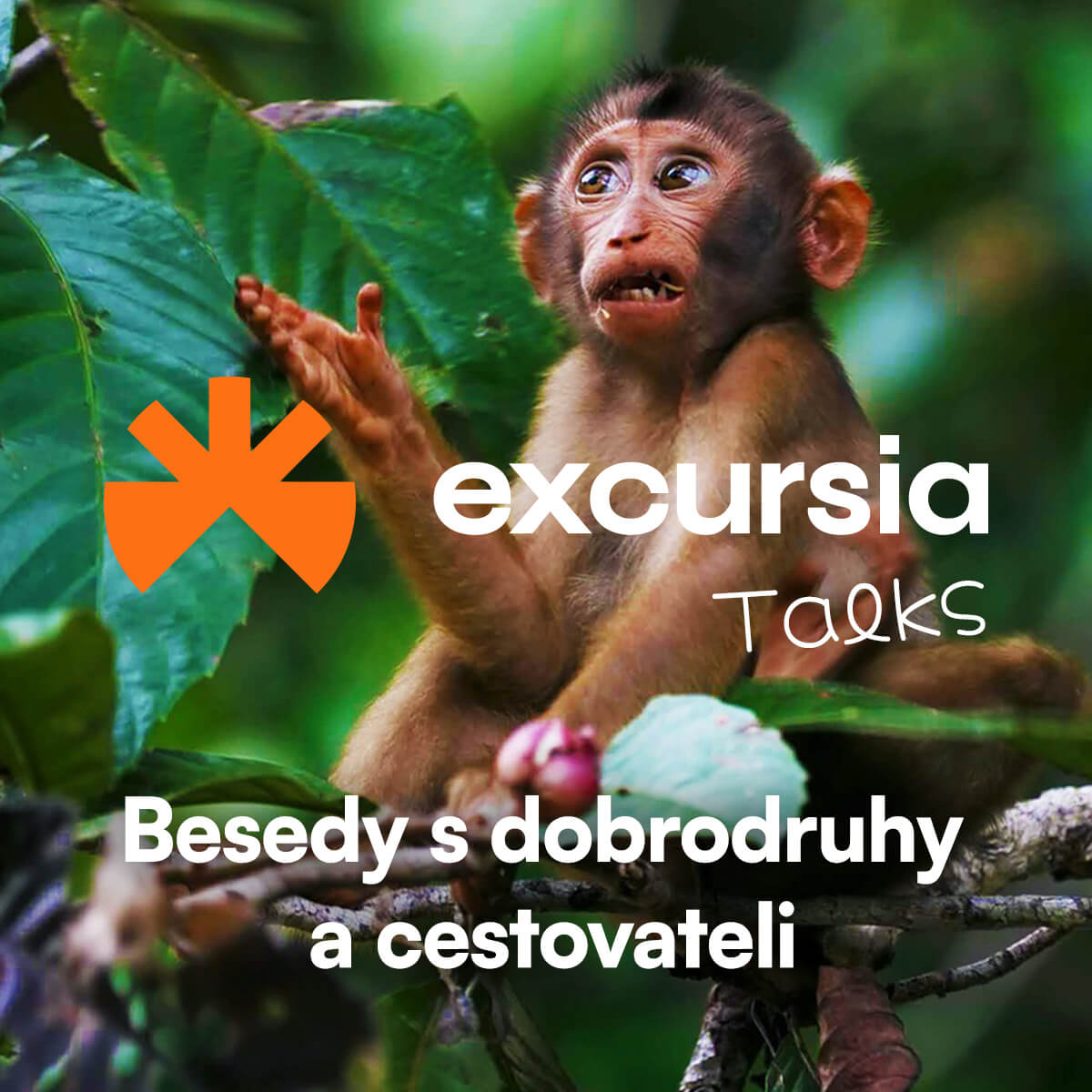 Sociální příspěvek Excursia Talks