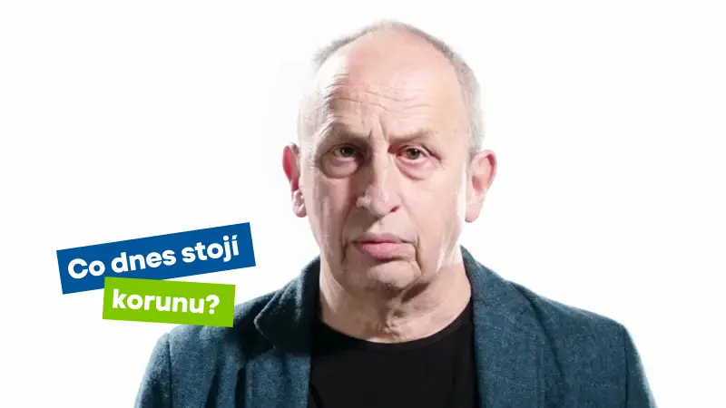 Ukázka projektu Nadační sbírka Koruna pro Vrbu